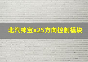 北汽绅宝x25方向控制模块