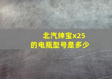 北汽绅宝x25的电瓶型号是多少