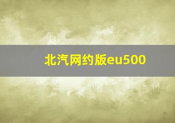 北汽网约版eu500