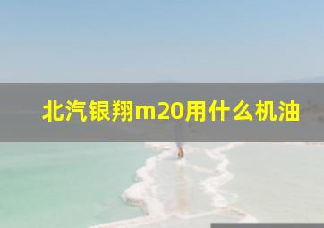 北汽银翔m20用什么机油