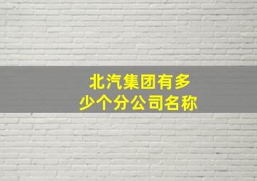 北汽集团有多少个分公司名称