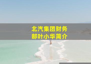 北汽集团财务部叶小华简介