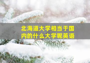 北海道大学相当于国内的什么大学呢英语