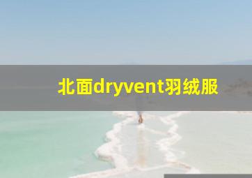 北面dryvent羽绒服