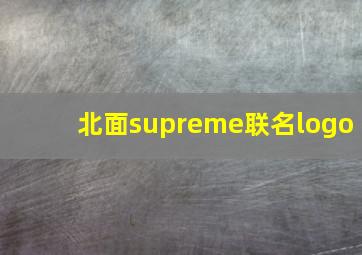 北面supreme联名logo