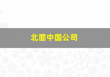 北面中国公司