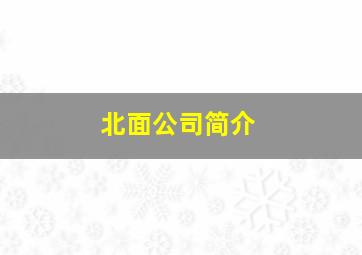 北面公司简介