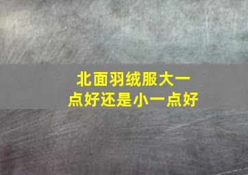 北面羽绒服大一点好还是小一点好