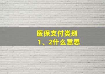 医保支付类别1、2什么意思