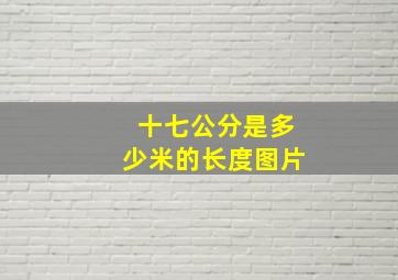 十七公分是多少米的长度图片