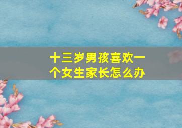 十三岁男孩喜欢一个女生家长怎么办