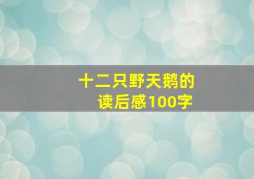 十二只野天鹅的读后感100字