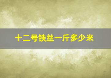 十二号铁丝一斤多少米