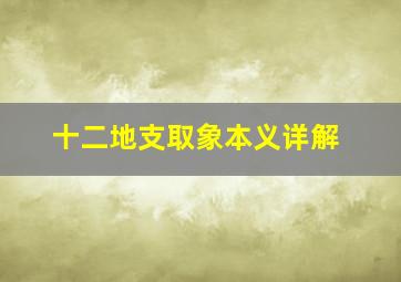 十二地支取象本义详解