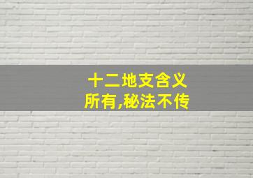 十二地支含义所有,秘法不传