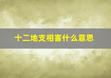 十二地支相害什么意思