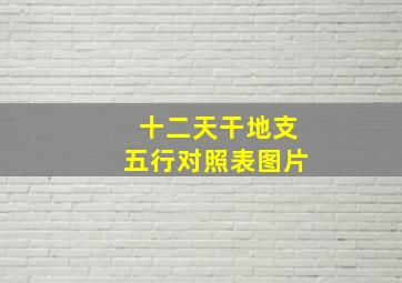 十二天干地支五行对照表图片