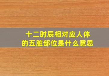 十二时辰相对应人体的五脏部位是什么意思