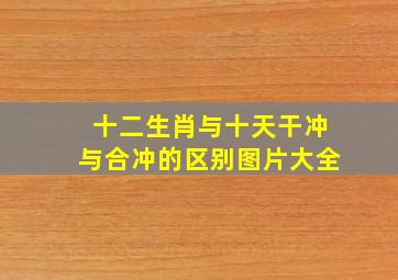 十二生肖与十天干冲与合冲的区别图片大全