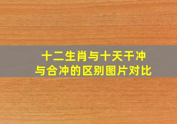 十二生肖与十天干冲与合冲的区别图片对比