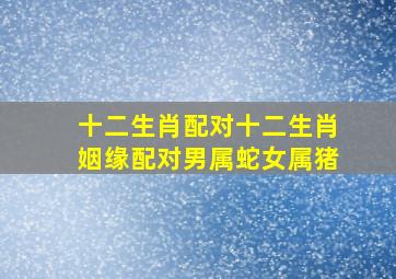 十二生肖配对十二生肖姻缘配对男属蛇女属猪