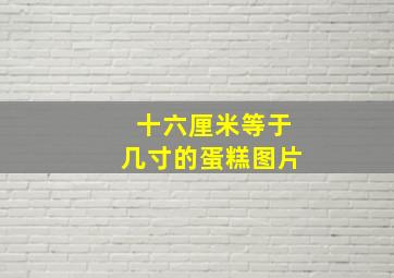 十六厘米等于几寸的蛋糕图片