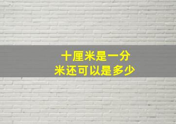 十厘米是一分米还可以是多少