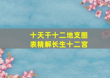 十天干十二地支图表精解长生十二宫