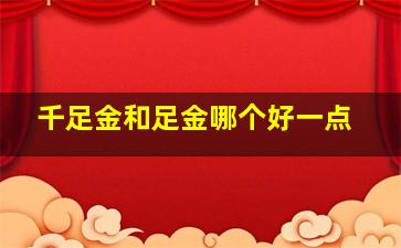 千足金和足金哪个好一点