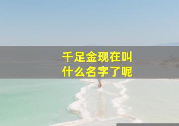 千足金现在叫什么名字了呢