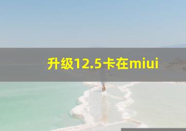 升级12.5卡在miui