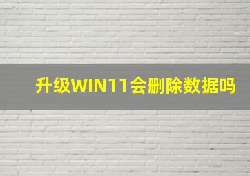 升级WIN11会删除数据吗