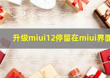 升级miui12停留在miui界面