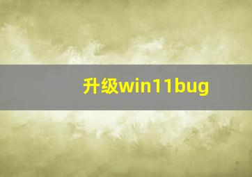 升级win11bug