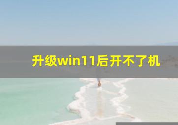 升级win11后开不了机