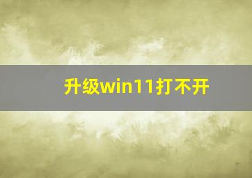 升级win11打不开