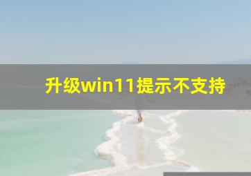 升级win11提示不支持