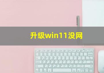 升级win11没网