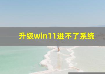 升级win11进不了系统