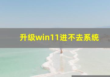 升级win11进不去系统