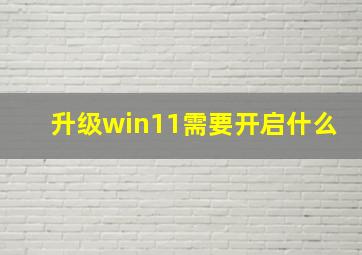 升级win11需要开启什么