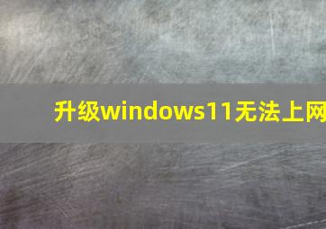 升级windows11无法上网