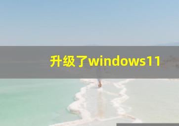 升级了windows11