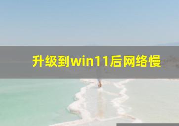 升级到win11后网络慢