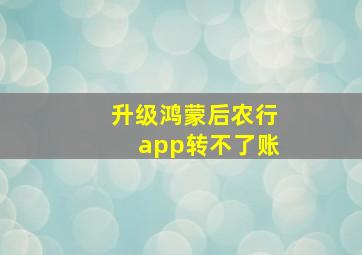 升级鸿蒙后农行app转不了账