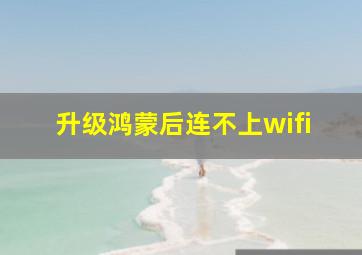 升级鸿蒙后连不上wifi