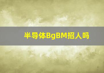 半导体BgBM招人吗