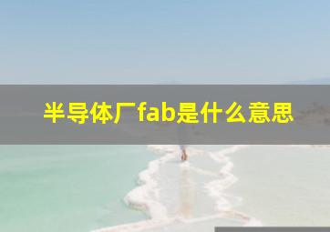 半导体厂fab是什么意思