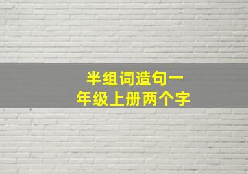 半组词造句一年级上册两个字