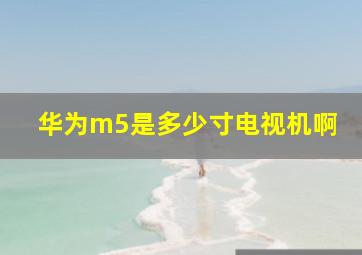 华为m5是多少寸电视机啊